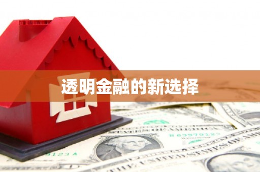 六枝透明金融的新选择